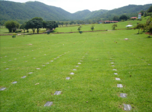 Coroa de Flores Velório Samaritano (Ribeirão Preto/SP)